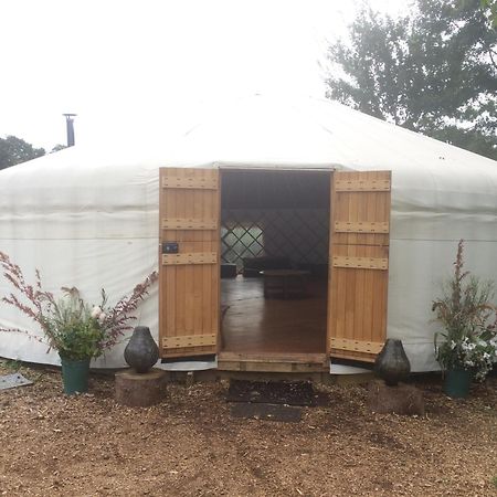 Silver Airstream Glamping & Rental Chichester Exterior photo