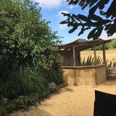 Silver Airstream Glamping & Rental Chichester Exterior photo