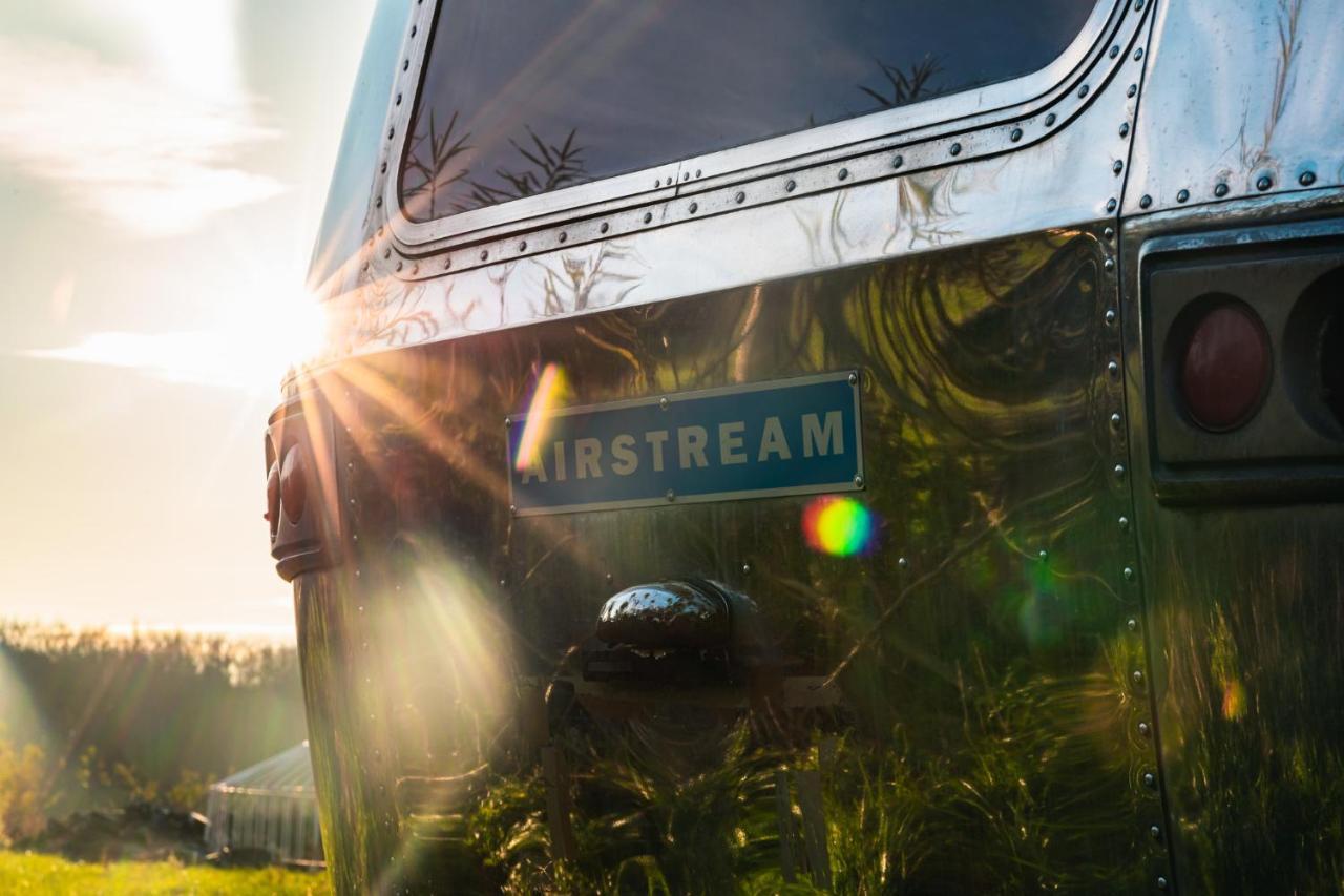 Silver Airstream Glamping & Rental Chichester Exterior photo