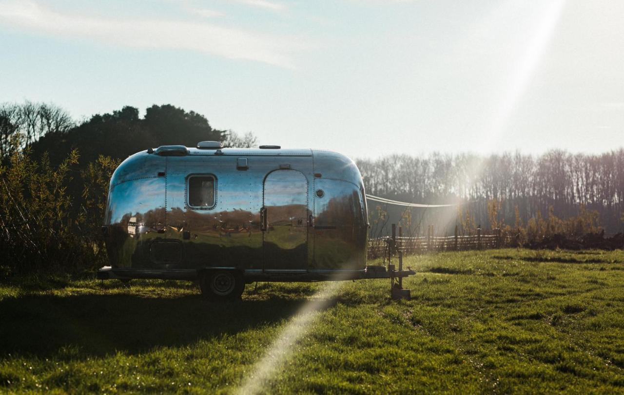 Silver Airstream Glamping & Rental Chichester Exterior photo