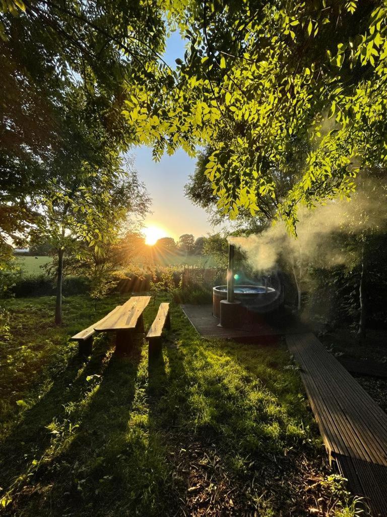 Silver Airstream Glamping & Rental Chichester Exterior photo
